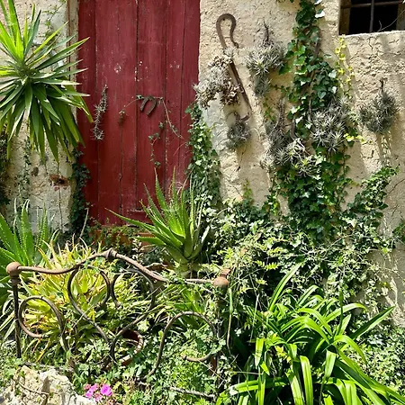 Hostdomus - Cassi Appartement