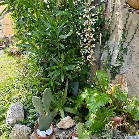 Hostdomus - Cassi Apartment Finale Ligure